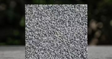 辽阳 芝麻黑荔枝面