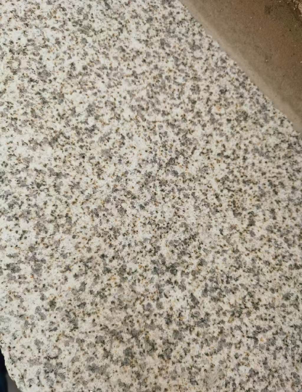 辽阳 黄金麻中黄光面