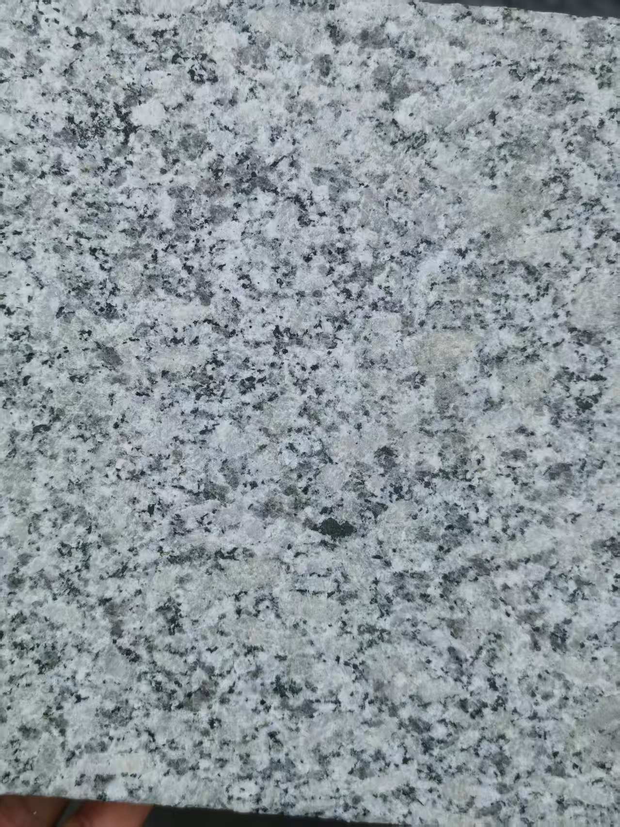 辽阳 芙蓉白火烧面